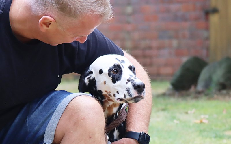 Tricolor Dalmatiner im Arm eines MAnnes. Nähe und Zuneigung ist zu sehen