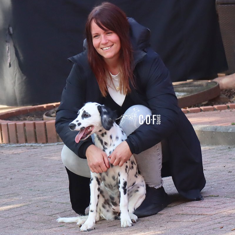 schwarz weißer Langhaar Dalmatiner Hündin mit einer Frau, die miteinander kuscheln.