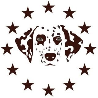 COF Spots Dalmatiner  ist Mitglied im DDV e.V.