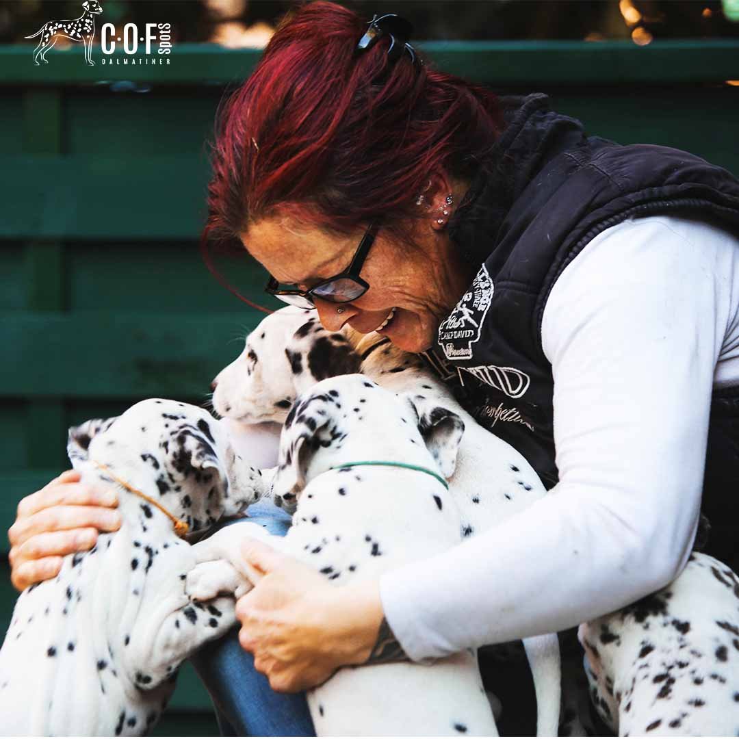 Züchter mit Dalmatinerwelpen im Arm