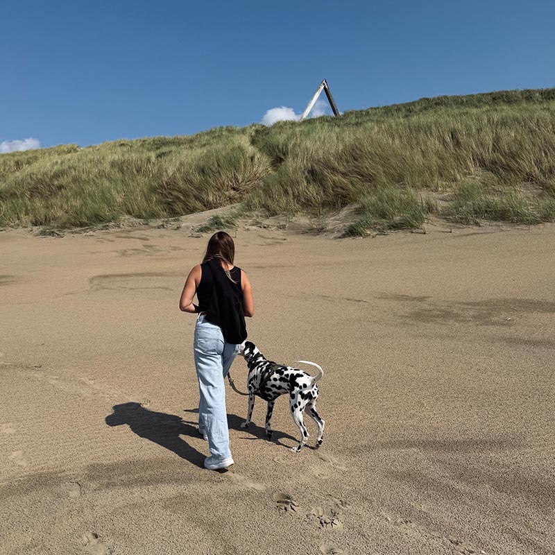 Eine Frau geht mit Ihrem Dalmatiner am Stand spazieren