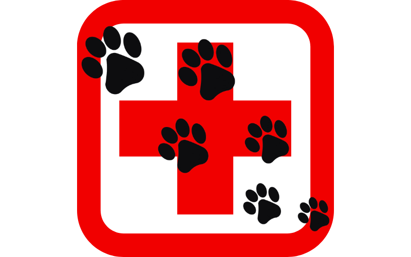 Erstehilfe Zeichen mit Hundepfoten