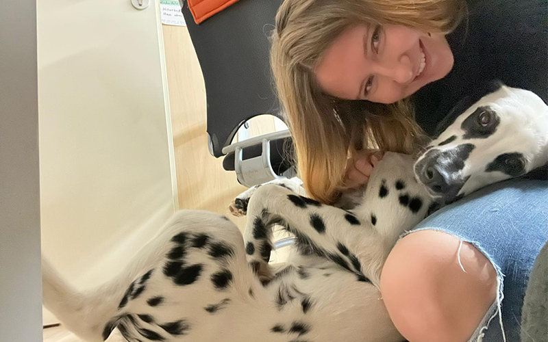 Langhaar Dalmatiner mit blonder Frau im Büro